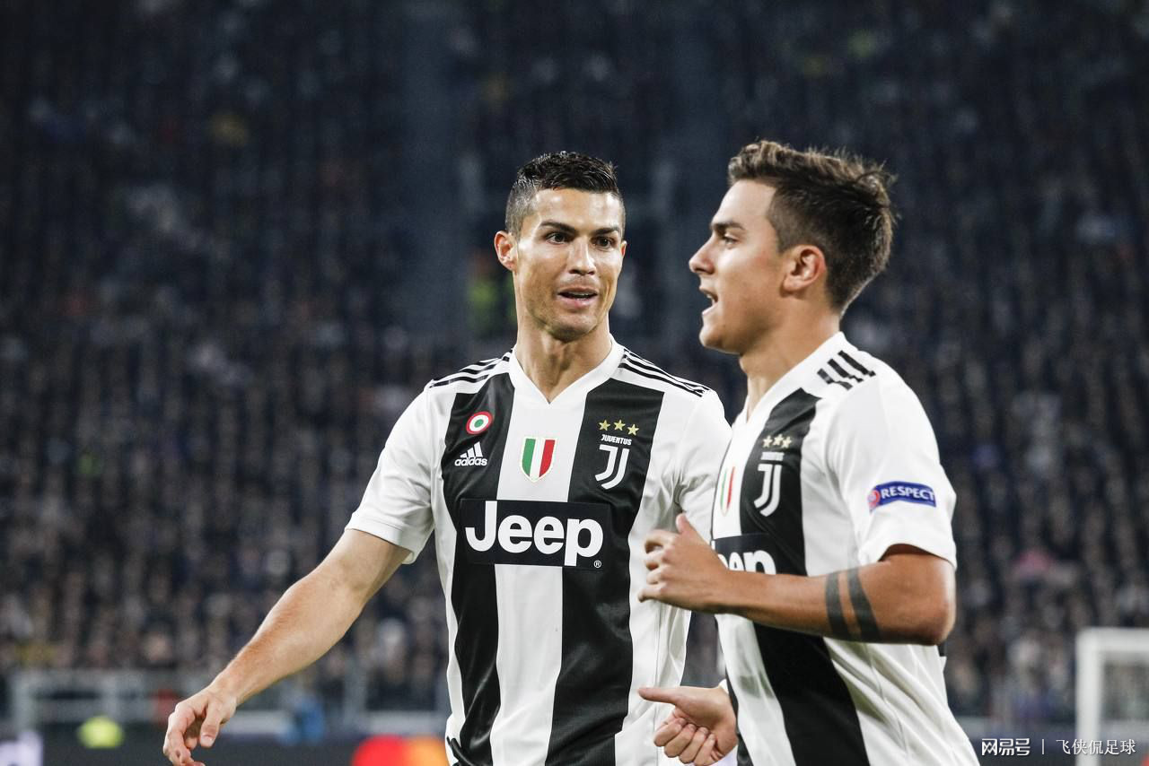 无论是快节 无论是快节